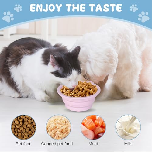 Zimoer 2er-Pack Faltbare Hundenäpfe mit Saugnäpfen & Slow-Feeder, 450ml Silikon Reisenapf für kleine Hunde, tragbar mit Karabinerhaken für Outdoor-Aktivitäten