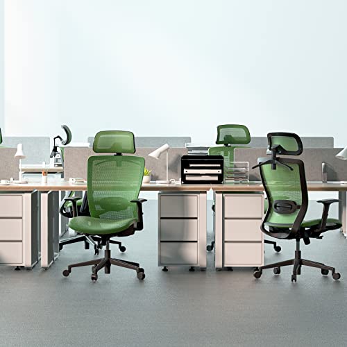 Flexispot Office Chair Home Office Desk Chairs With Wheels Computer Chair With Lumbar Support Swivel Headrest Green #TOP1