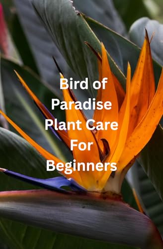 Bird of Paradise Plant Care For Beginners: From Pot to Paradise: A Beginner’s Journey to Thriving Bird of Paradise Plants
