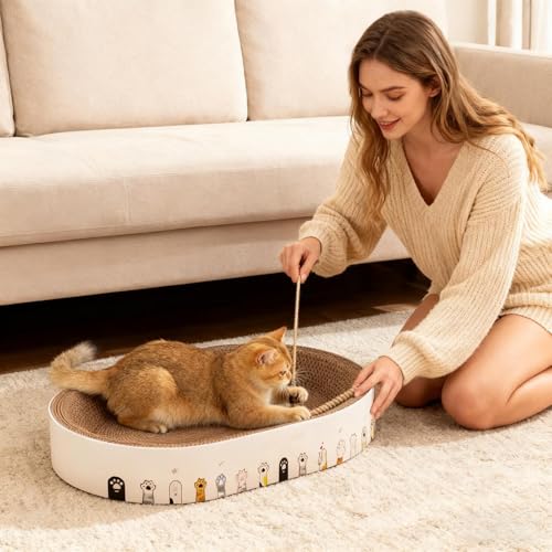Planche à gratter pour chat et aire de repos d'intérieur confortable - 4