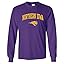 Northern Iowa Panthers Purple
