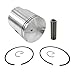 Asaki Piston Kit Compatible with John Deere JDX8/800 Snowmobile 09-666-01 0.25mm with Ring