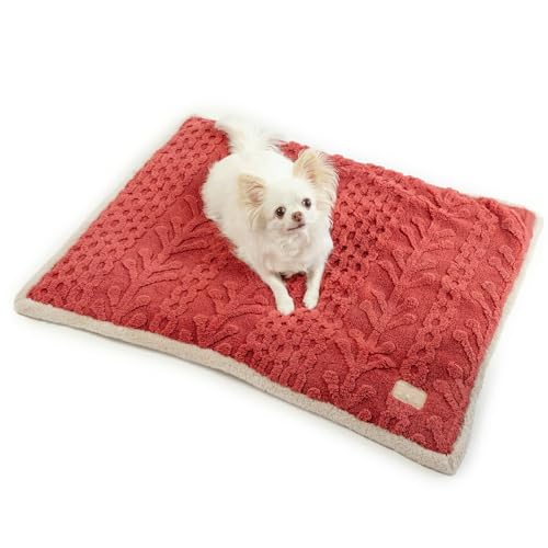 ybgp_CX  }bg ~p A {A ԊO (80×60cm) Q