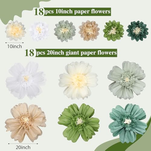 Image of TaoBary Large Colorful Tissue Paper Flowers Giant Fiesta Paper Pom Poms Classroom Wall Decor Mexican Birthday Party Decorations Wedding Backdrop(20 inch and 10 inch,Green Series,12 Pcs)