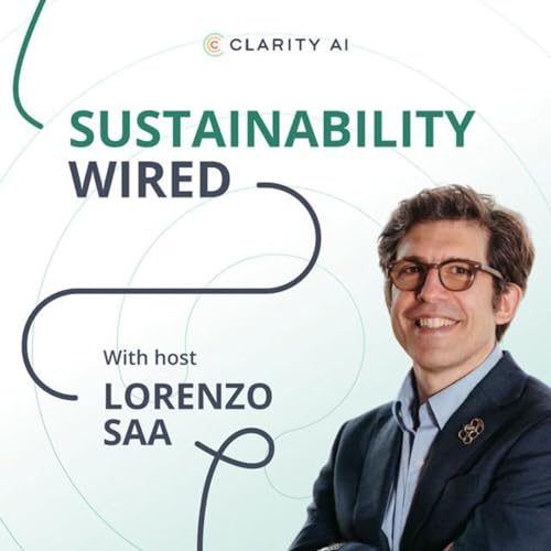 What Risks Are We Missing in the AI Boom? cover art