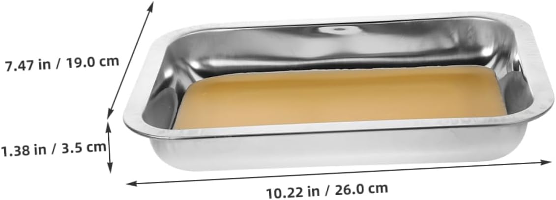 HEMOTON 2pcs Stainless Steel Dissection Tray with Wax Coating Easy to Clean Laboratory Equipment for Biology Classrooms and School Experiments Stable Base for Safe Specimen Handling