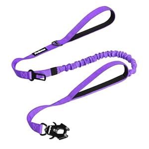 PetBonus Lila Bungee Hundeleine mit Auto-Sicherheitsgurt
