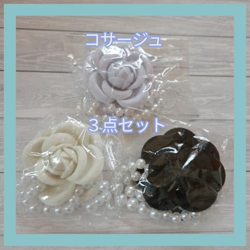 RT[W Ǝ o p[ zCg [Y Vv u[` w  O