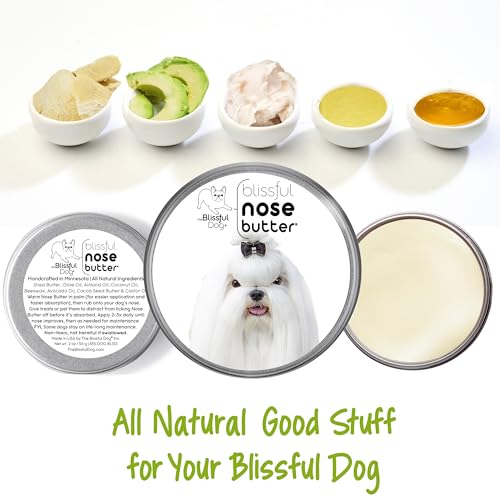 Image of The Blissful Dog Maltese Nose Butter for Dry, Cracked Skin, Lick-Safe Dog Nose Balm with Moisturizing Shea Butter, Almond, Olive, and Essential Oils, Pet Supplies, Uncented, 2 oz.