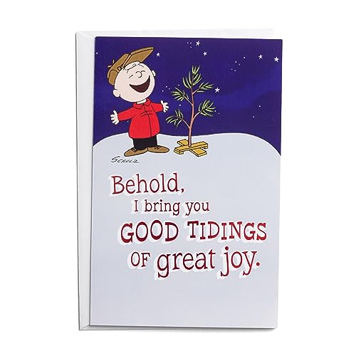 Cartes de Noël DaySpring Peanuts lot de 50 pour vœux église