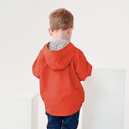 Image of Volunboy Toddler Boys Windbreaker Casual Outerwear Kids Lightweight Zip Hooded Jacket Baby Cute Dust Coat