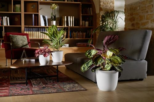 EDA - Cache-Pot Opale Ø 22 cm - Pot décoratif pour l'Intérieur - Ø 22 cm x H. 20,2 cm - Noir – vue 4