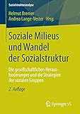 Soziale Milieus und Wandel der Sozialstruktur: Die gesellschaftlichen Herausforderungen und die Strategien der sozialen Gruppen (Sozialstrukturanalyse)
