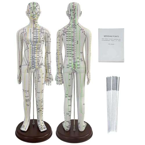 Human Acupuncture Point Model 1/3 Scale Acupuncture Doll 21.3\'\'/54cm Acupuncture Mannequin with English Acupuncture Point Marks, Practical Exercises Acupuncture for Students & Professionals (Female)