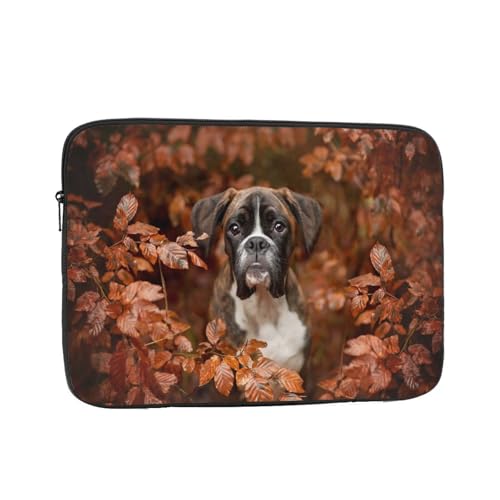 p\RP[X X[u m[gp\Rp̃obO {NT[ H PcP[X m[gp\R ^ubgpc h ₷ lC LN^[  17 Inch