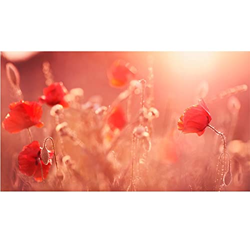 Mosaïque Diamant Fleurs Rouges pour Créer des Souvenirs Fait Main