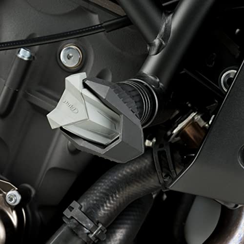 Tamponi Paratelaio R19 compatibile con BMW F 900