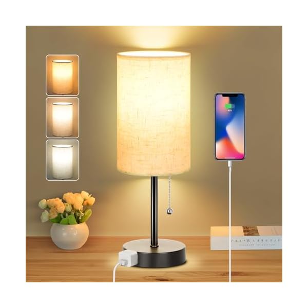 Dott Arts Table Lamp for Bedroom, 3-Color Bedside Lamps with Pull Chain, Bedroom Table Lamps for Nightstand,AC Outlet Small Lamp for Living Room, Bulb Included