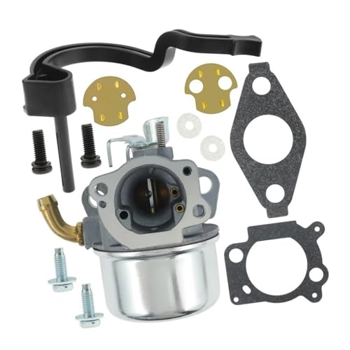 Carburateur neuf avec joints pour moteurs remplaçant 698479 et 591925