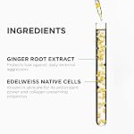 Kerastase Genesis Thermique Blow Dry Primer, Heat Protectant for Weak or Damaged Hair, Anti-Breakage, Detangles and Hydrates without Frizz, Sulfate Free and Defense Thermique, 5.1 Fl Oz - Image 4