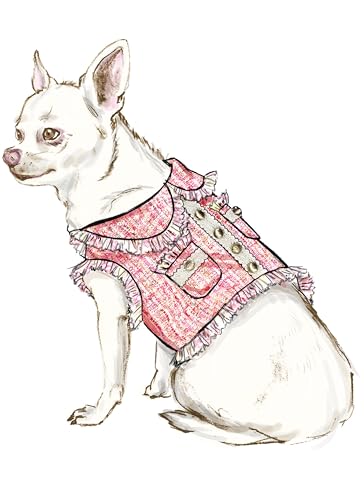 SIMPLICITY Schnittmuster SS9970A Hundemäntel A (XXS-XS-S-M)