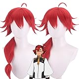 スレッタ・マーキュリー/ミオリネ・レンブランコスプレ 衣装 同人服 機動戦士ガンダム 水星の魔女 Season2周辺コスプレ マーキュリーウイッグや靴や追加購入可 cosplay 仮装 変装 アニメコスチューム クリスマス ハロウィーン パーティー イベント (マーキュリーウイッグのみ,フリーサイズ)