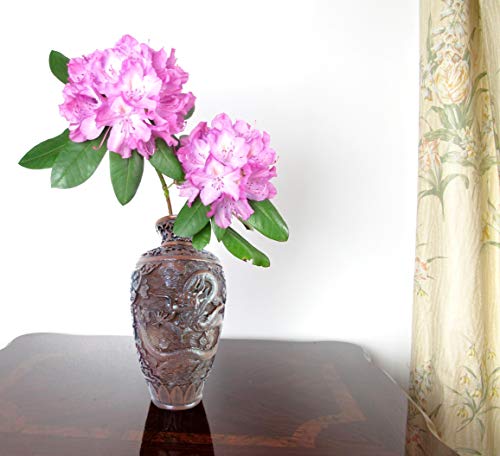 Chinese Dragon Vase - Handmade Decorative Oriental Sculptural Vase For Flowers - Feng Shui Asian Art - Resin, 9.5 Inches (Brown) #TOP4