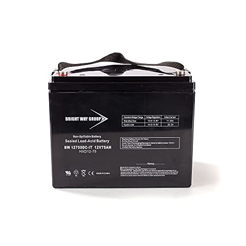 Bright Way Group 12V 75AH SLA/AGM Group 24 Battery IT