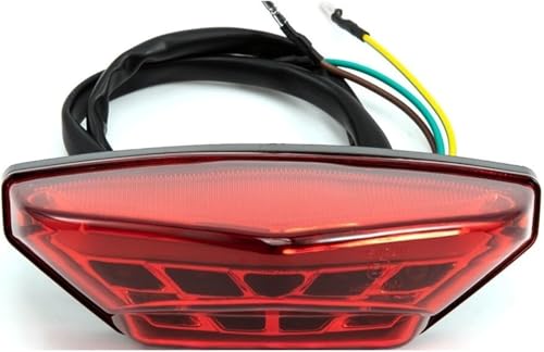 Luz trasera de motocicleta y lámpara pequeña de freno con carcasa roja