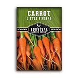 Gourmet Baby Carrot - This extremely popular baby carrot variety develops vibrant orange color quickly and is a perfect option for growing in containers or a greenhouse due to the dwarf carrot plant size. Fast Growing - The baby carrot plant develops...