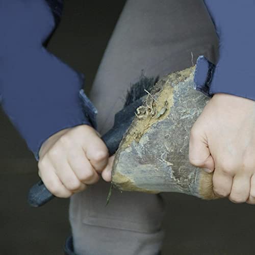 Cepillo de cascos para caballo con mango ergonómico y limpiacascos integrado 6