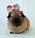 Crochet Rainbow Swirl Bows and Bowties for Guinea Pigs, Bunnies, Hamsters, Chinchillas, & Small Pets (Rainbow Swirl Bowtie)