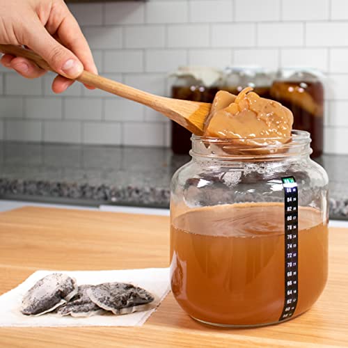 Cultures for Health Certified Organic Kombucha Starter SCOBY | Heirloom Culture for Unlimited Batches | Shelf-Stable Dehydrated Scoby for Fresh Activation | Brew Your Own Probiotic Tea | pH Test Strips Included
