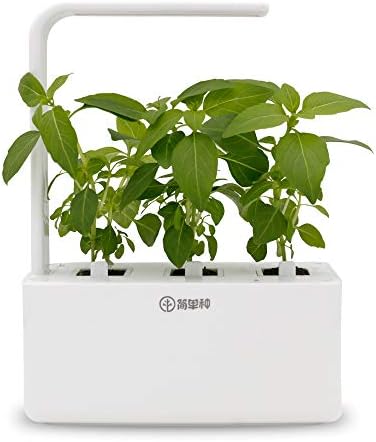 Smart Garden Indoor Smart Plugs Rapid Rooter Grow Capsule Gardening Kit with LED Grow Light Fresh Herbs and Vegetables Grown Flowerpot