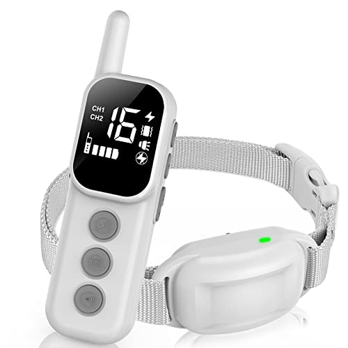 Find The Best Electric Collar For Dogs Reviews & Comparison Katynel