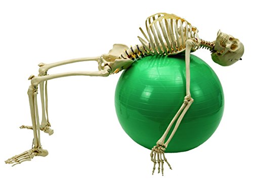 Table Paper Smooth Finish 14.5 X 225' Cs/12 - World Wide Shipping