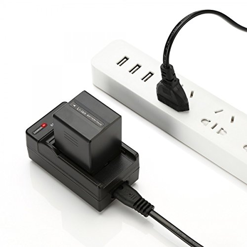 Rusty Bob - VW-VBD210/CGA-DU21 acumulador/batería NV-GS10, NV-GS10B, NV-GS10EG, NV-GS10EG-A, NV-GS10EG-R, NV-GS10EG-S,NV-GS17,NVGS17E-S - Cargador y la batería