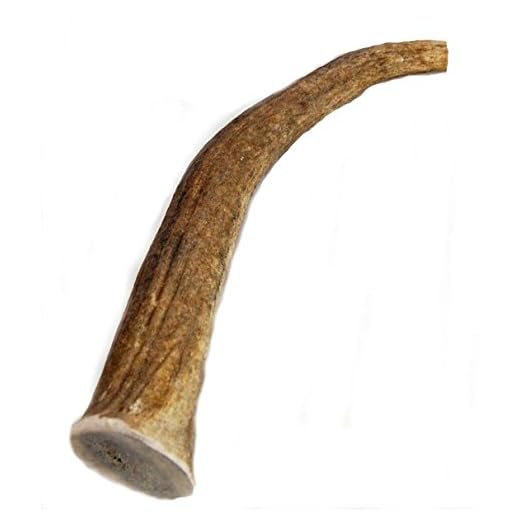 Big Dog Antler Chews Elk Antler Dog Chew, Extra Large Tine, 8 inches to 12 inches, XL - Great for Your Large to Extra Large Dogs and Puppies Brand