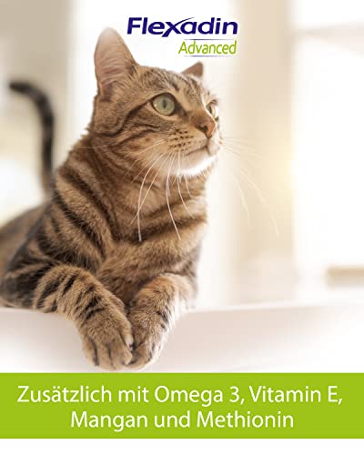 FLEXADIN ADVANCED® Katze |Innovativer Ansatz für die Gelenkgesundheit | Undenaturiertes Kollagen Typ II – 60 Gelenkleckerli