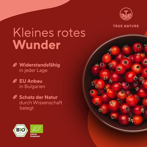 Hagebuttenextrakt Bio Kapseln von True Nature hochdosiert 360 Stück