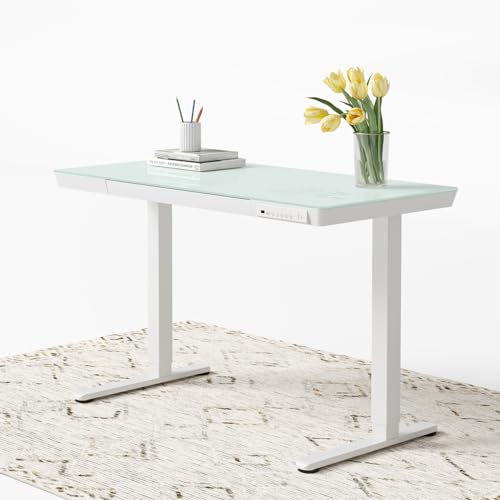Amazon | FEZIBO 昇降デスク 電動昇降 幅120cm x 奥行き60cm