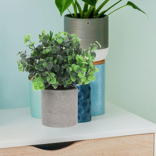 DECOMELODY ?^?A AtFCNϗtA F p ItBXz[fR sv̏^O[vc  _J[