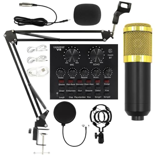 Équipement de streaming en direct et microphone d'enregistrement pour un son clair sans écho
