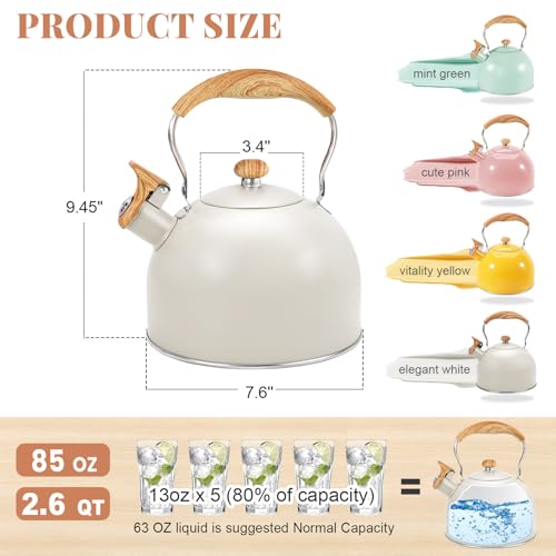 Ggc PD-A38-WHITE Tea Kettle For Stove Top thumb #4