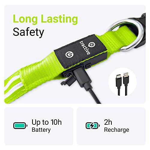 Tractive Led Light Up Dog Collar Usb Rechargeable Waterproof (Green) #TOP4