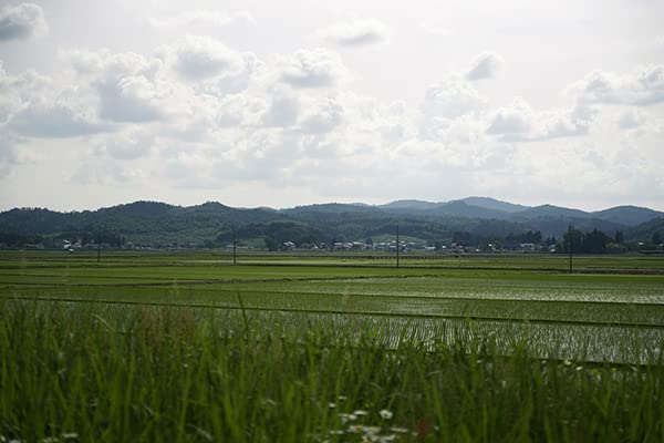 Amazon.co.jp: X3 亜麻色 麹三倍仕込 純米原酒 (金紋秋田酒造