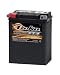 Deka Power Sports ETX15 battery