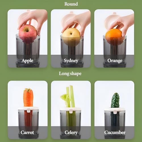 Extracteur de jus lent et compact pour maison et restauration
