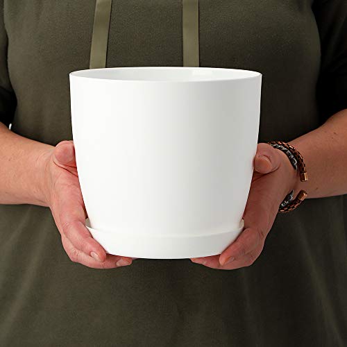 KADAX Maceta, jardinera con platillo, maceta redonda de plástico, maceta mate para cactus, helecho, maceta brillante para balcón, vivienda y terraza (diámetro: 12 cm), color blanco KADAX Maceta, jardinera con platillo, maceta redonda de plástico, maceta mate para cactus, helecho, maceta brillante para balcón, vivienda y terraza (diámetro: 12 cm), color blanco