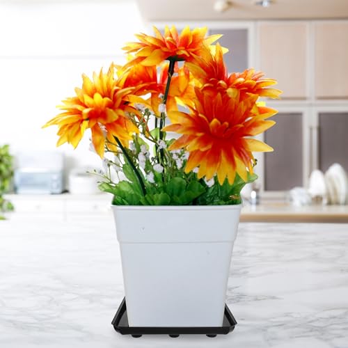 Curtis Wagner Plastics Designer Series Plant Saucer (5-Pack) - Black, Square (Diameter: 11.75" Base, 14" Top, 1.62" Depth) Thick Plastic Plant Drip